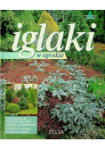 Iglaki w ogrodzie
