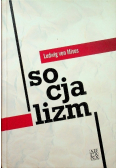 Socjalizm