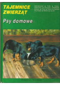 Tajemnice zwierząt Psy domowe