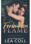 Forbidden Flame