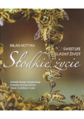 Słodkie życie