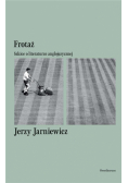 Frotaż. Szkice o literaturze anglojęzycznej