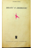Miłość o zmierzchu