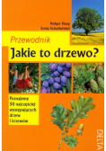 Jakie to drzewo? Przewodnik
