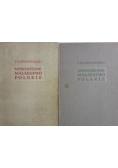 Nowoczesne malarstwo polskie