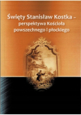Święty Stanisław Kostka perspektywa
