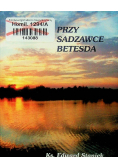 Przy sadzawce Betesda