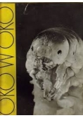 Oko w oko