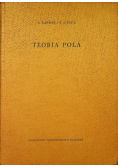 Teoria pola