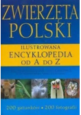 Zwierzęta Polskie