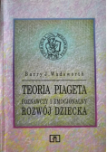 Teoria Pigeta
