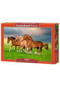 Puzzle 500 Horses in Spring Rush CASTOR