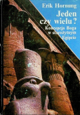 Jeden czy wielu