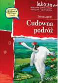 Cudowna podróż