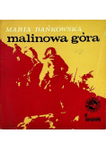 Malinowa góra