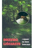Drzewa liściaste i owady na nich żerujące