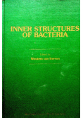 Inner structures of bacteria