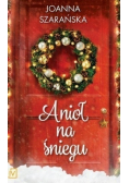 Anioł na śniegu