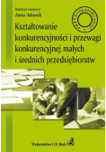 Kształtowanie konkurencyjności i przewagi konkurencyjnej
