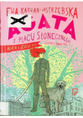 Agata z placu słonecznego