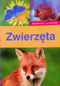 Zwierzęta