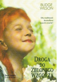 Droga do zielonego wzgórza
