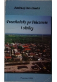 Przechadzka po Pińczowie i okolicy