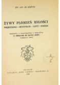 Żywy płomień miłości 1939 r.