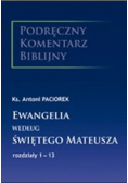 Ewangelia według świętego Mateusza rozdziały 1 - 13