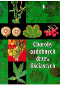 Choroby ozdobnych drzew liściastych