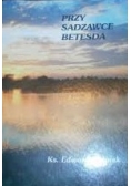 Przy sadzawce Betesda