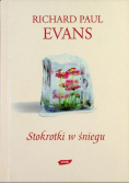 Stokrotki w śniegu