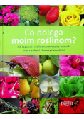 Co dolega moim roślinom