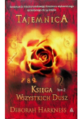 Księga Wszystkich Dusz Tom 2 Tajemnica