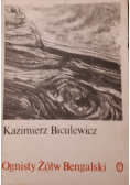 Ognisty żółw Bengalski