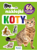 60 kolorowych naklejek Koty