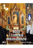 Boże i ludzkie Miłosierdzie