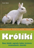 Króliki Podręcznik początkującego hodowcy