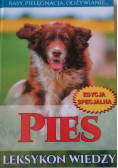 Pies leksykon wiedzy
