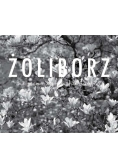 Żoliborz w fotografii Andrzeja Jastrzembskiego
