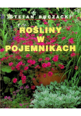 Rośliny w pojemnikach