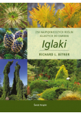 Iglaki