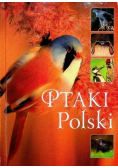 Ptaki Polski