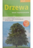 Drzewa łatwe rozpoznawanie