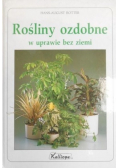 Rośliny ozdobne w uprawie bez ziemi