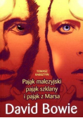 Pająk malezyjski pająk szklany i pająk z Marsa