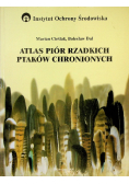 Atlas piór rzadkich ptaków chronionych