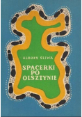 Spacerki po Olsztynie