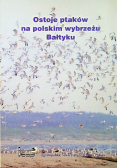 Ostoje ptaków na polskim wybrzeżu Bałtyku