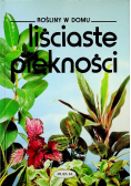 Rośliny w domu Liściaste piękności